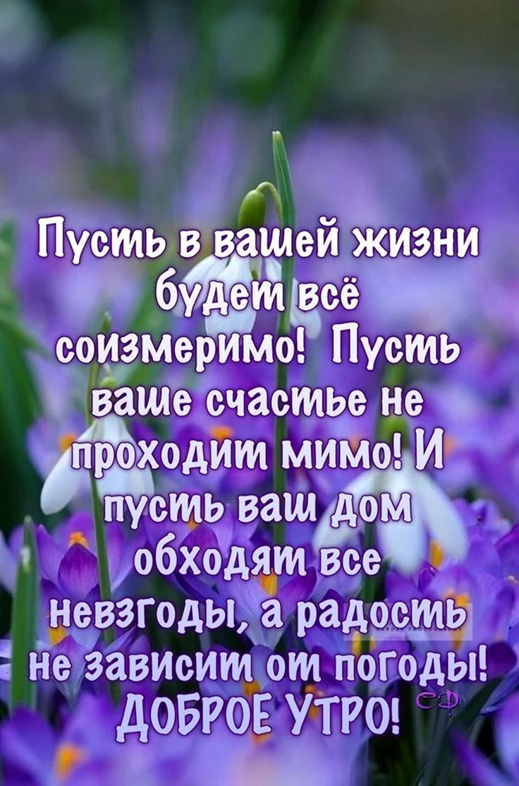 Жизненные пожелания с добрым утром