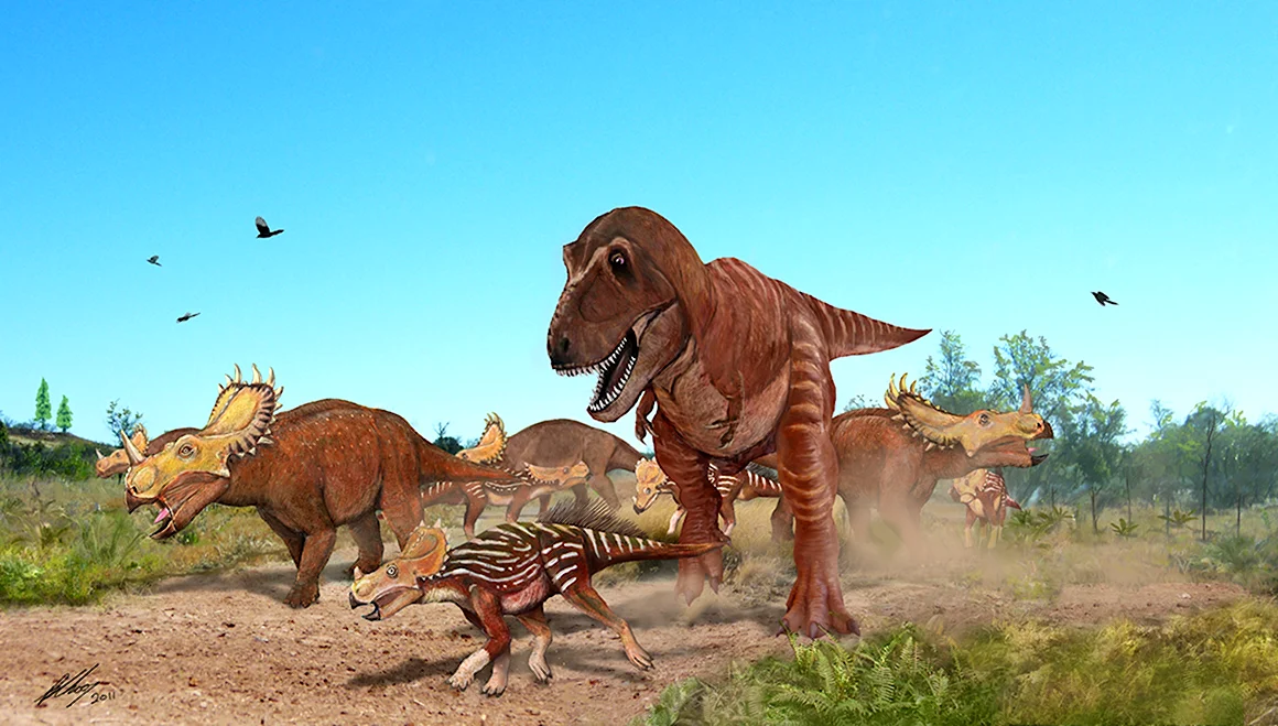 Zhuchengtyrannus динозавр