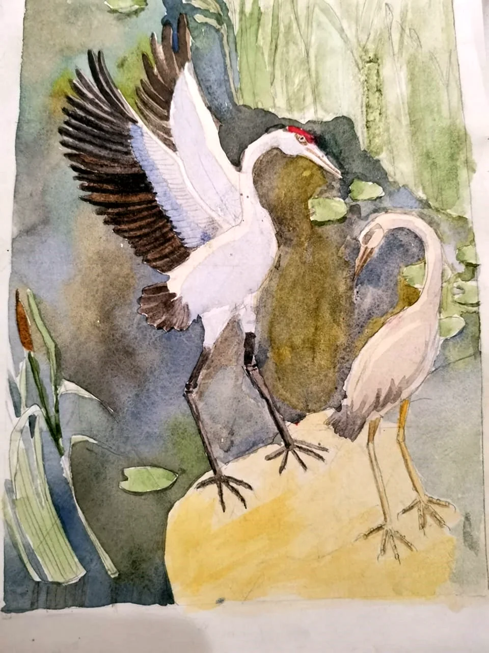 Журавль и цапля