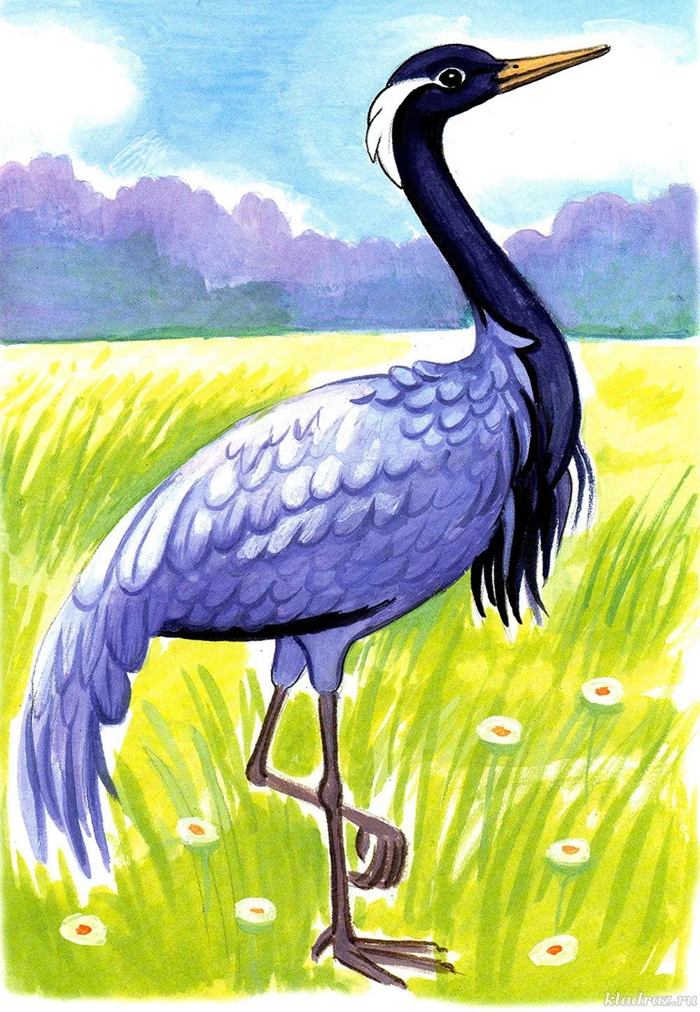 Журавль рисунок