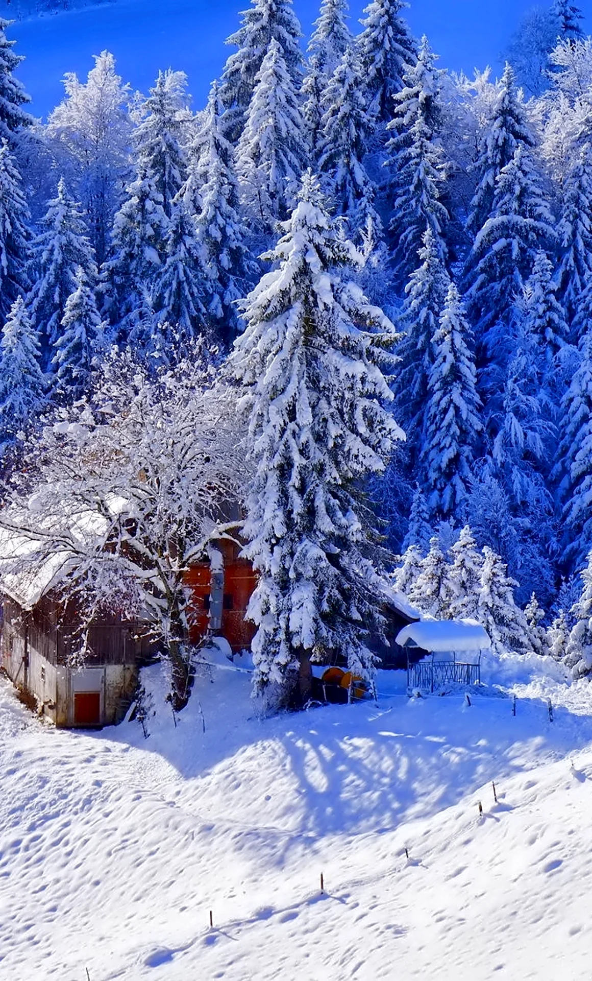 Зима