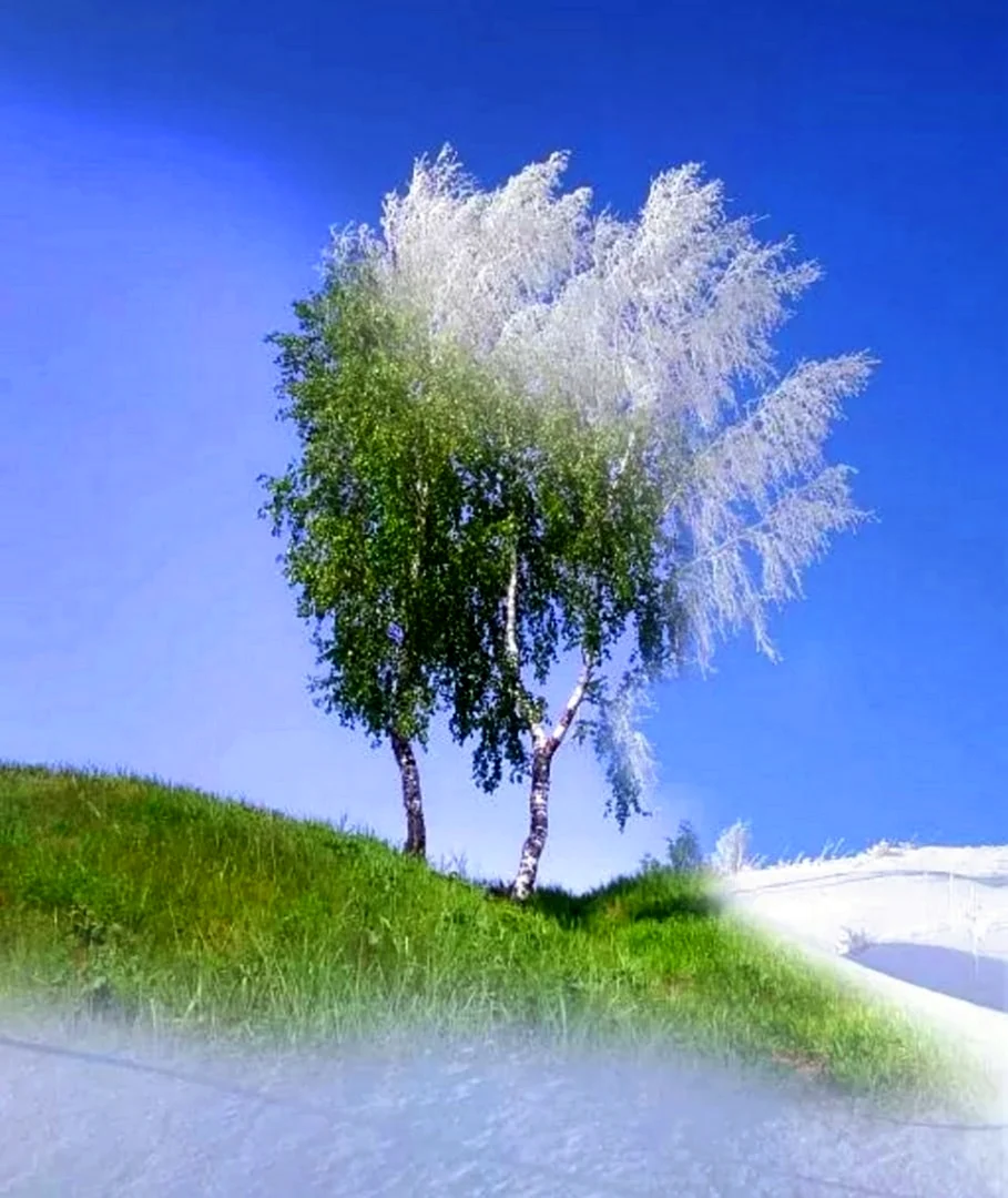Зима лето