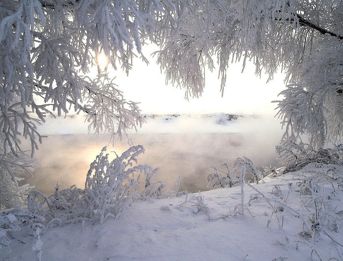 Зима Пурга