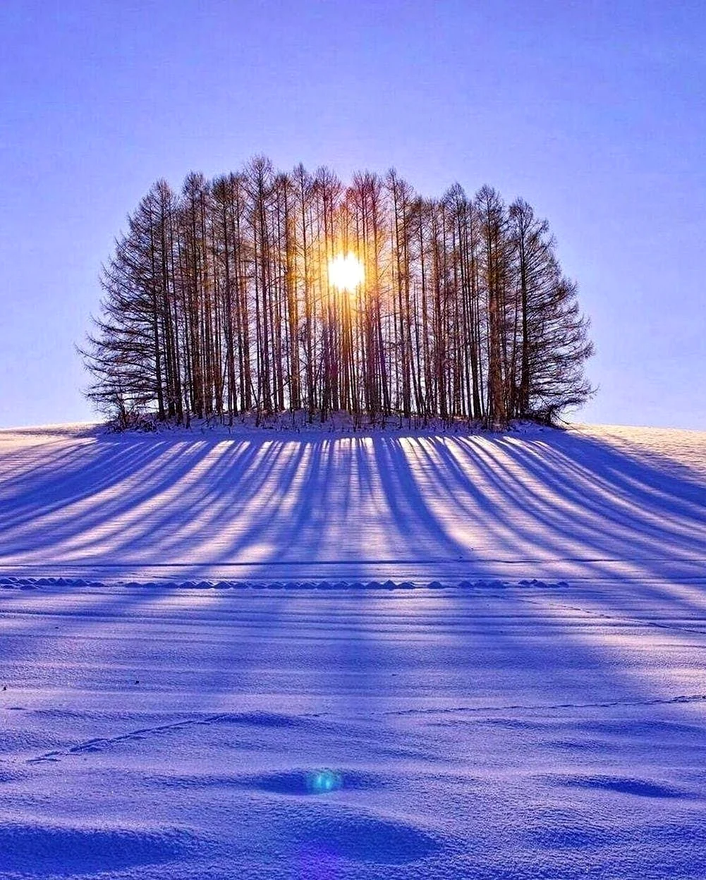 Зима солнце