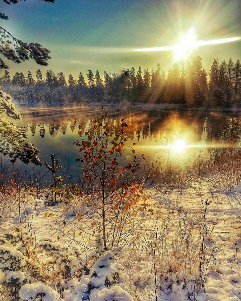 Зима солнце