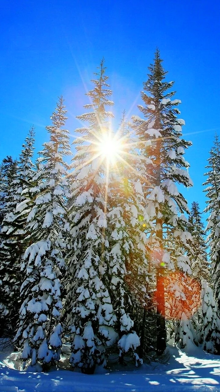 Зима солнце