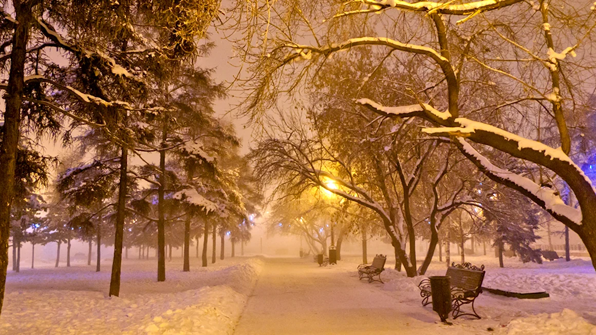 Зима в городе