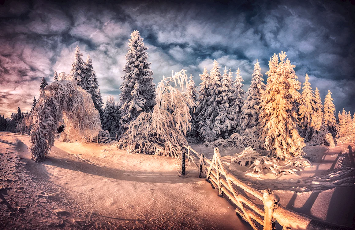 Зимняя природа