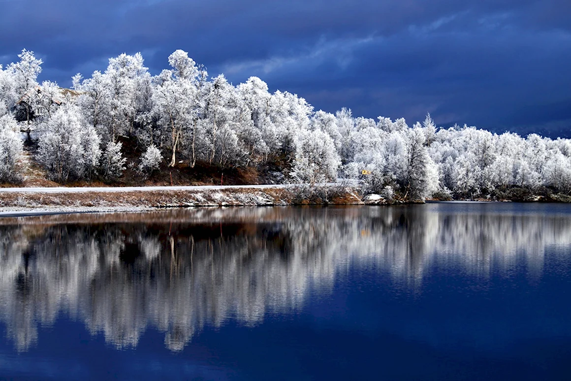 Зимняя природа