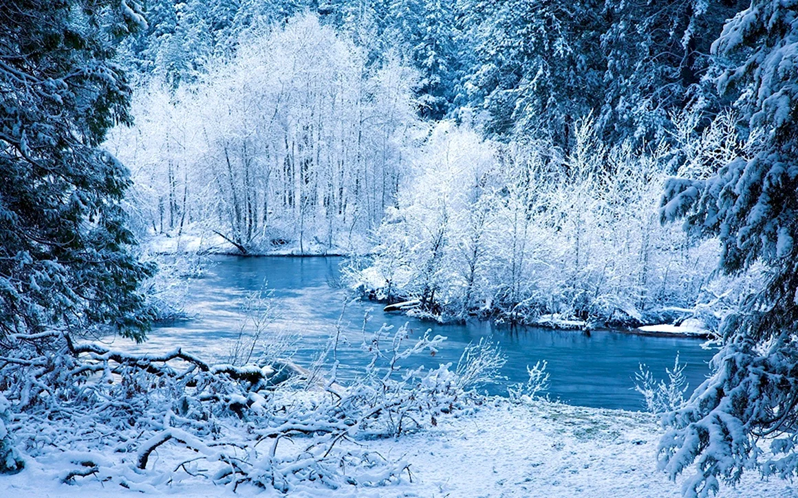 Зимняя природа
