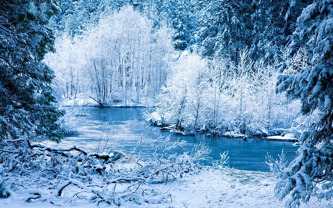Зимняя природа