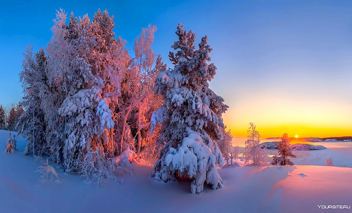 Зимняя природа