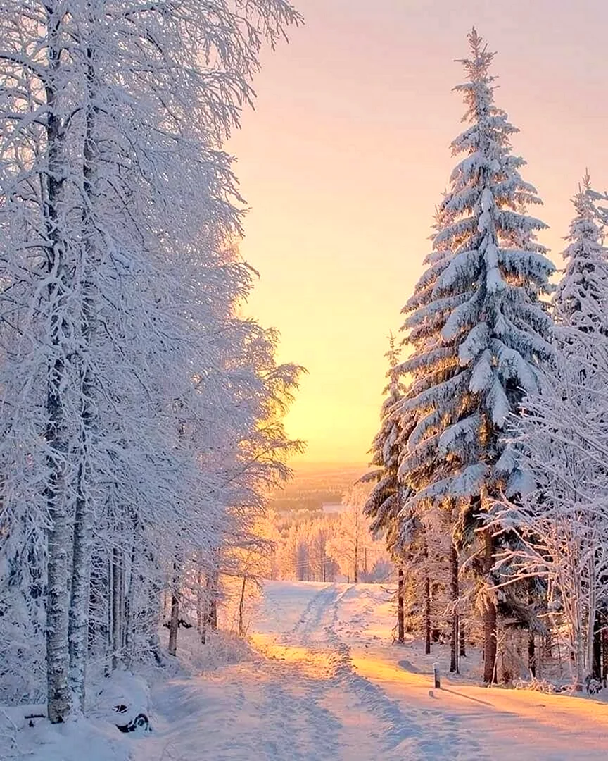 Зимняя природа