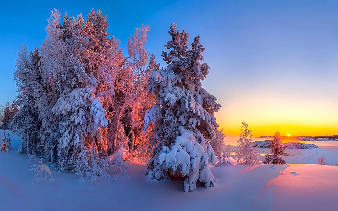Зимняя природа