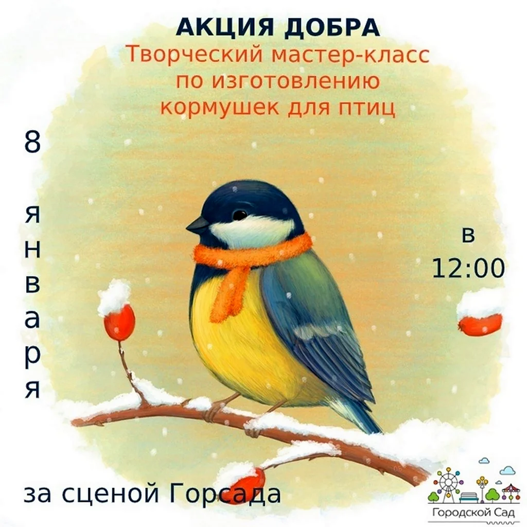 Зимние птицы
