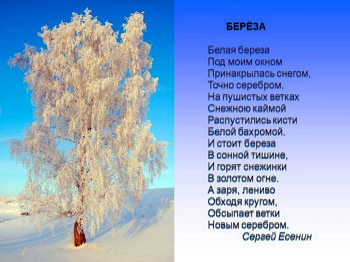 Зимние стихи