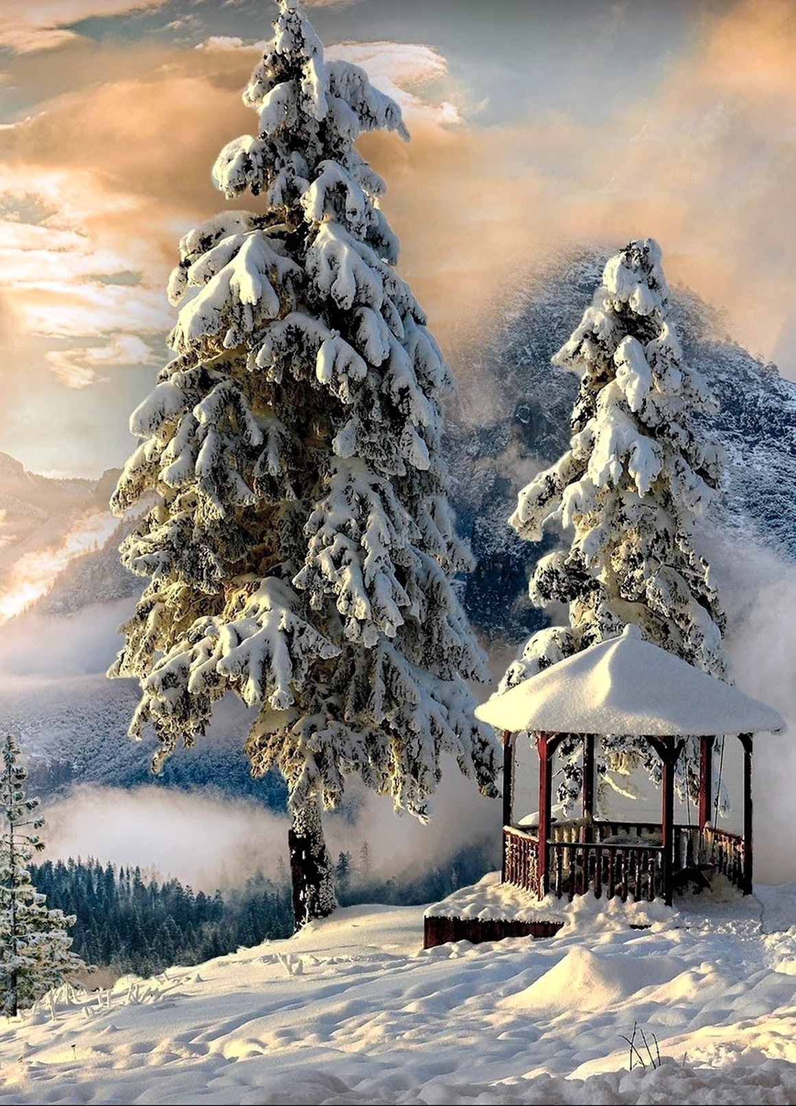 Зимний пейзаж