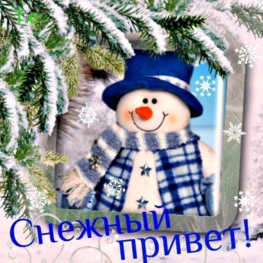 Зимний приветик