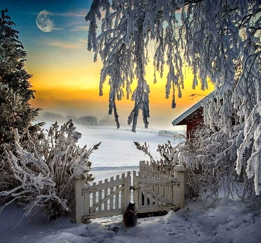 Зимний вечер