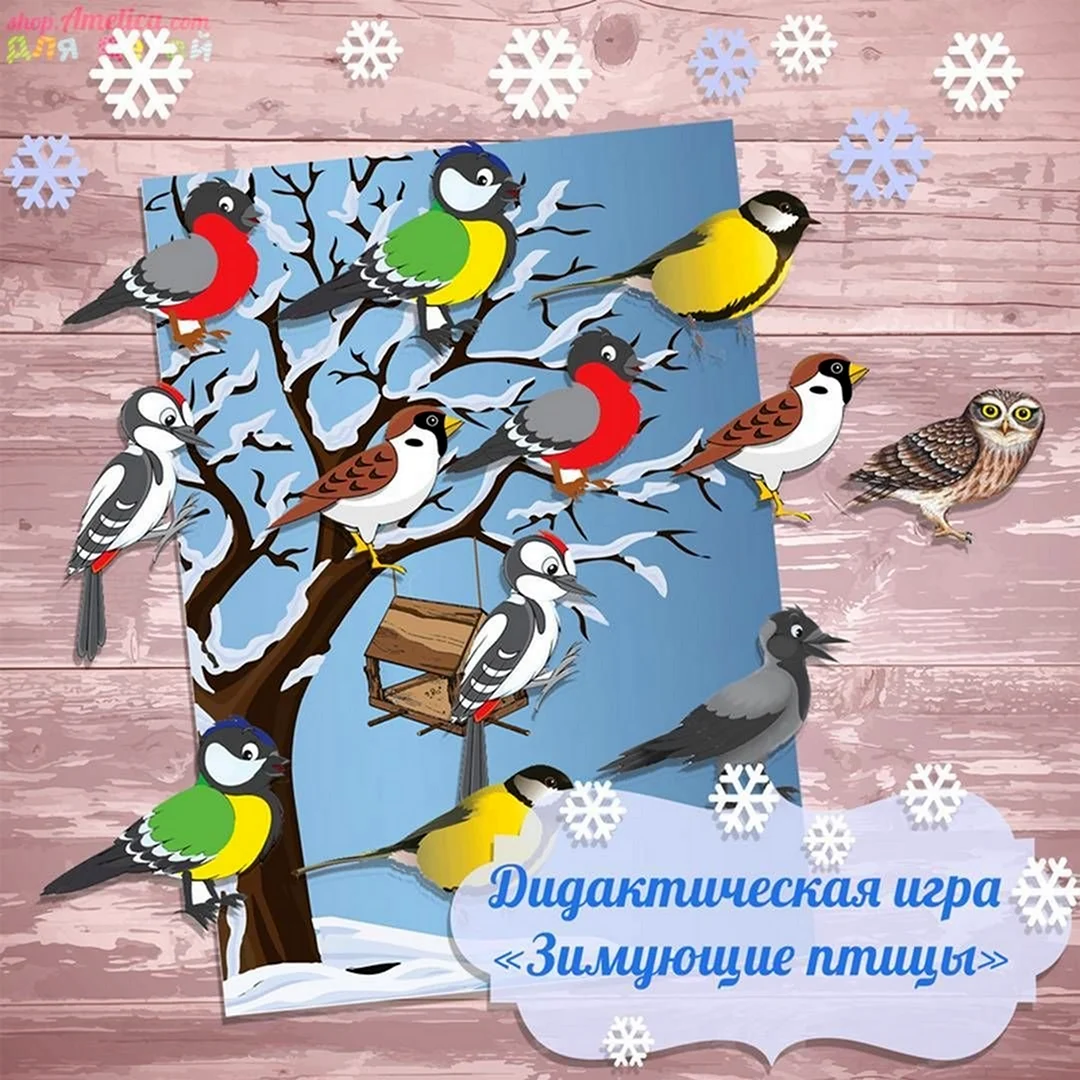 Зимующие птицы дидактические игры для детей