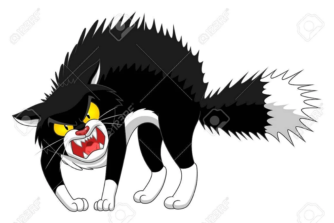Злая кошка