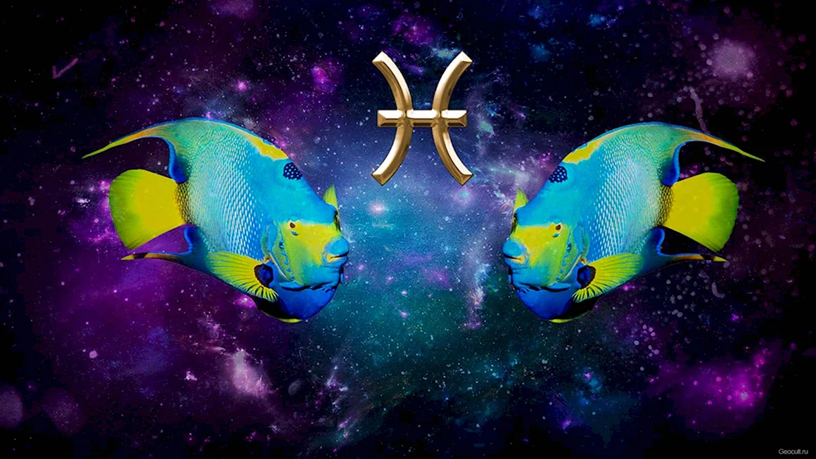Знаки зодиака рыбы