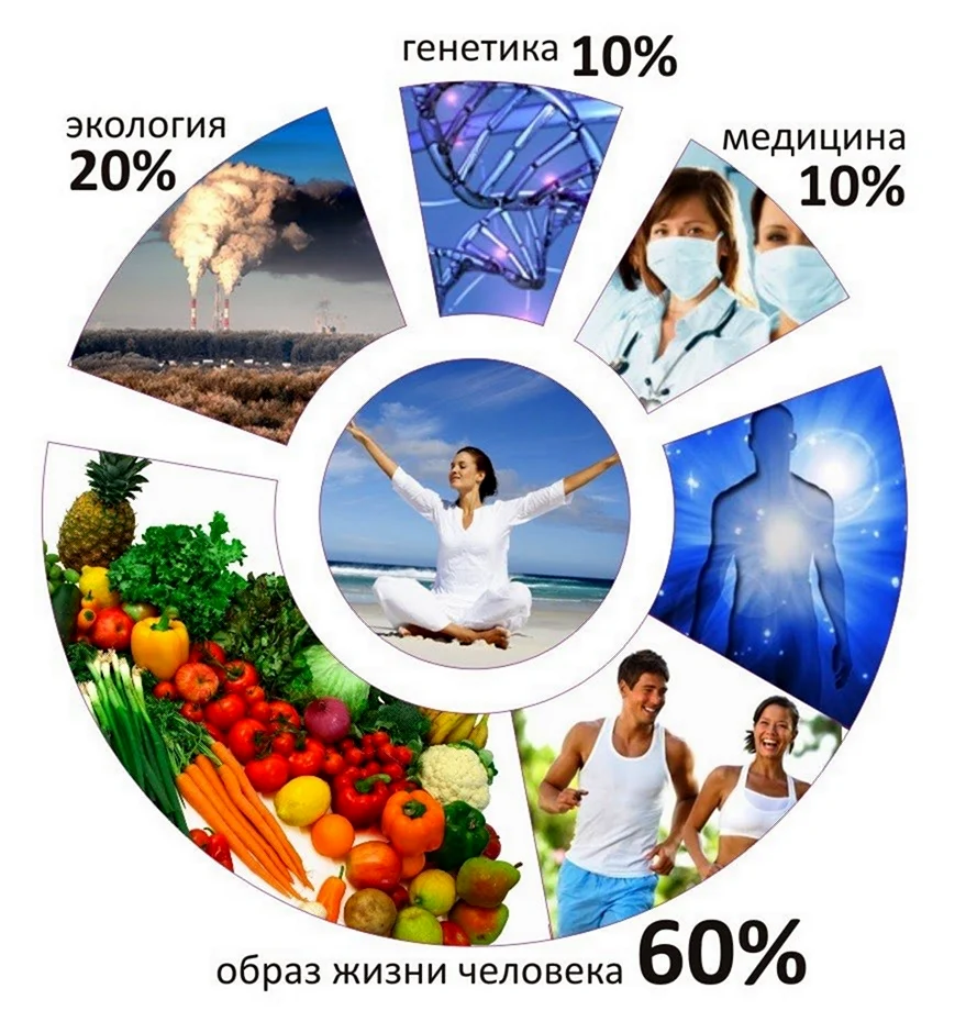 ЗОЖ
