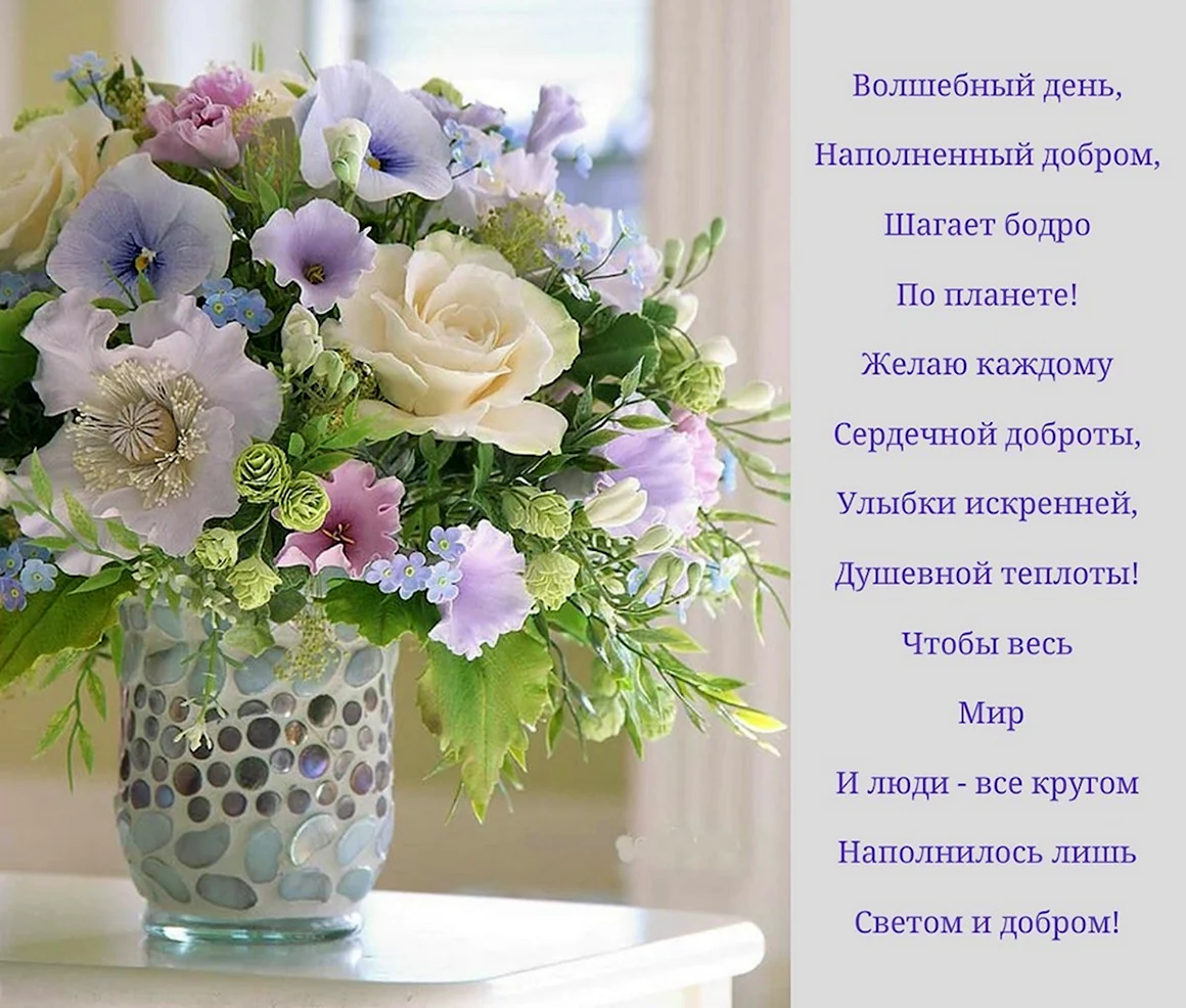 Звержанская Екатерина гортензия