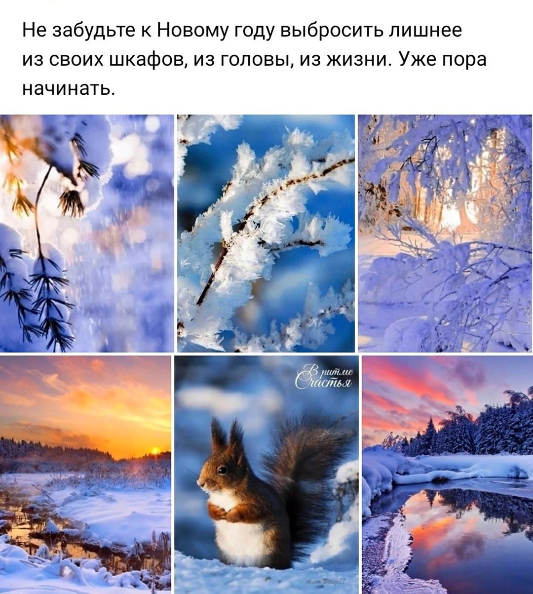 Звездою севера Явись
